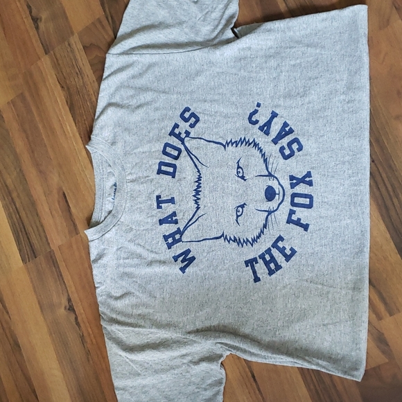 Boys What Does The Fox Say shirt - Picture 1 of 2